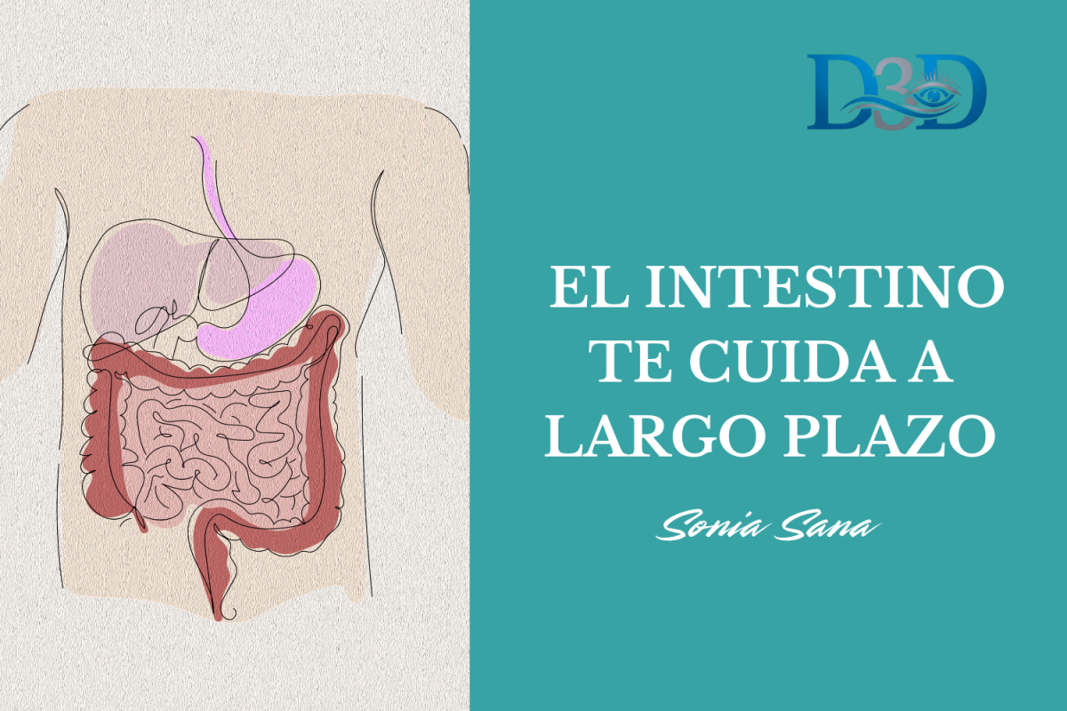 Cuanto menos azúcar y menos hidratos que se convierten en glucosa, menos hambre falsa, menos irritabilidad y más claridad mental.