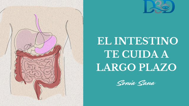 El INTESTINO TE CUIDA A LARGO PLAZO